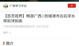 犇犇爆料视频,热点事件背后的真相