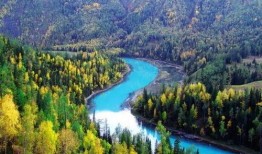 喀纳斯景区爆料视频播放,揭秘神秘自然奇观背后的故事