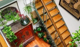 阳光天井在线观看,在线观看，感受温馨光影的治愈之旅